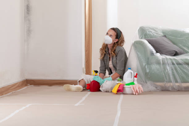Reliable Commercial Mold Remediation contractor in Sayreville, NJ by WQB Mold Removal